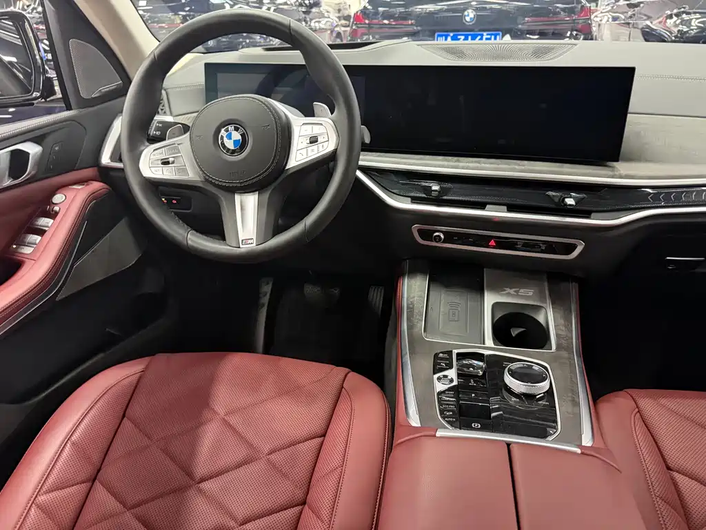 BMW X5 — миниатюра 11