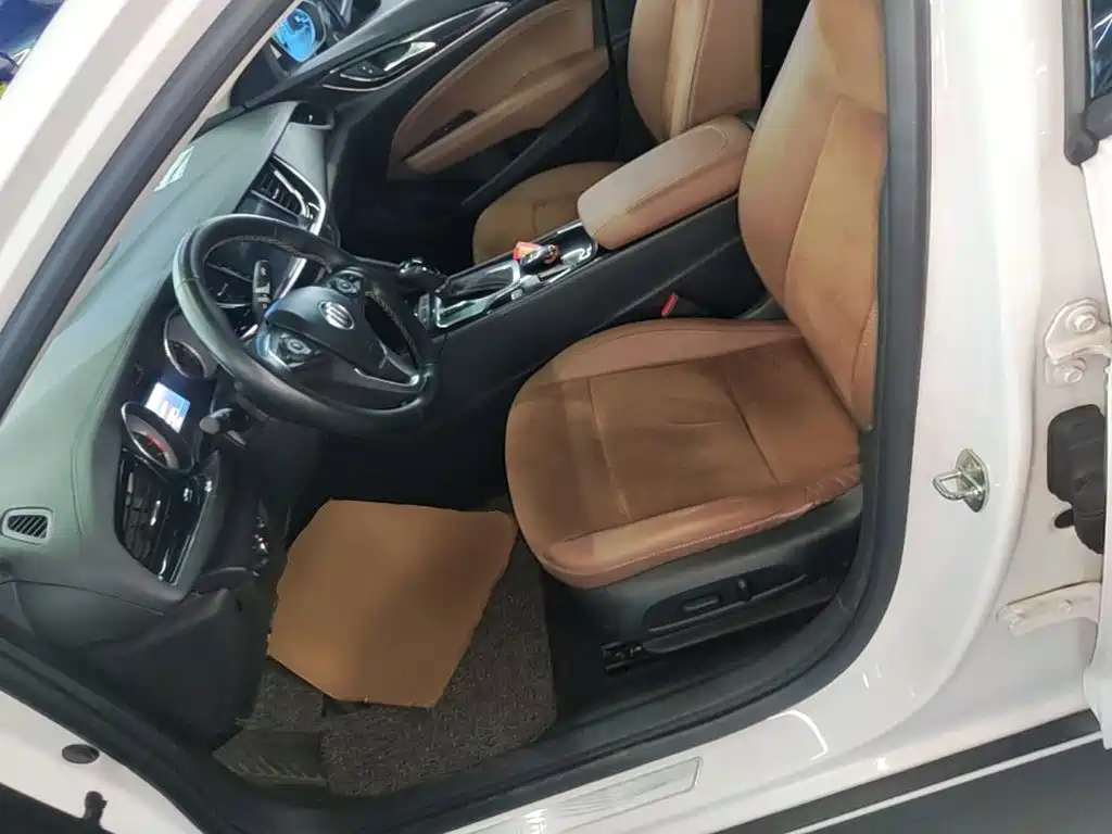 Buick Regal — миниатюра 15