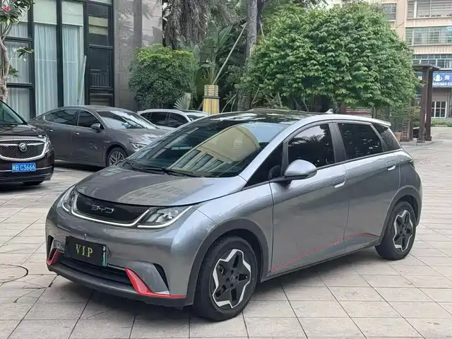 BYD Dolphin