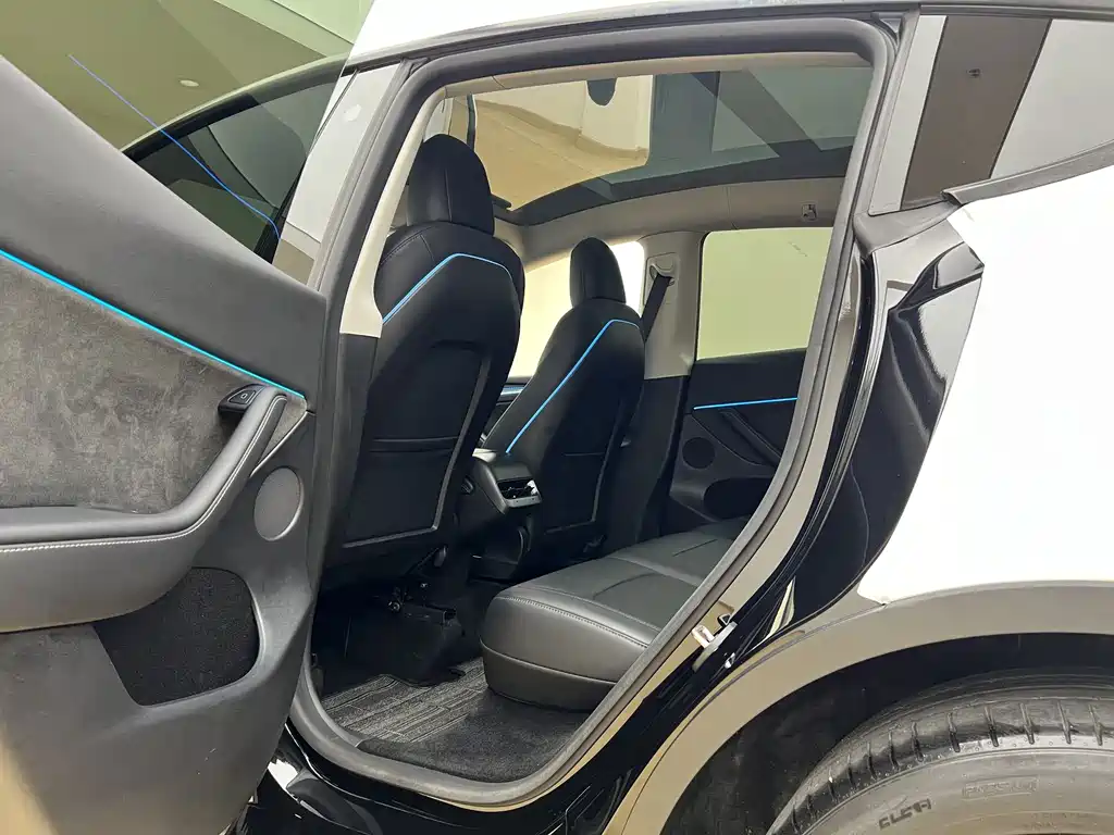 Tesla Model Y — миниатюра 19