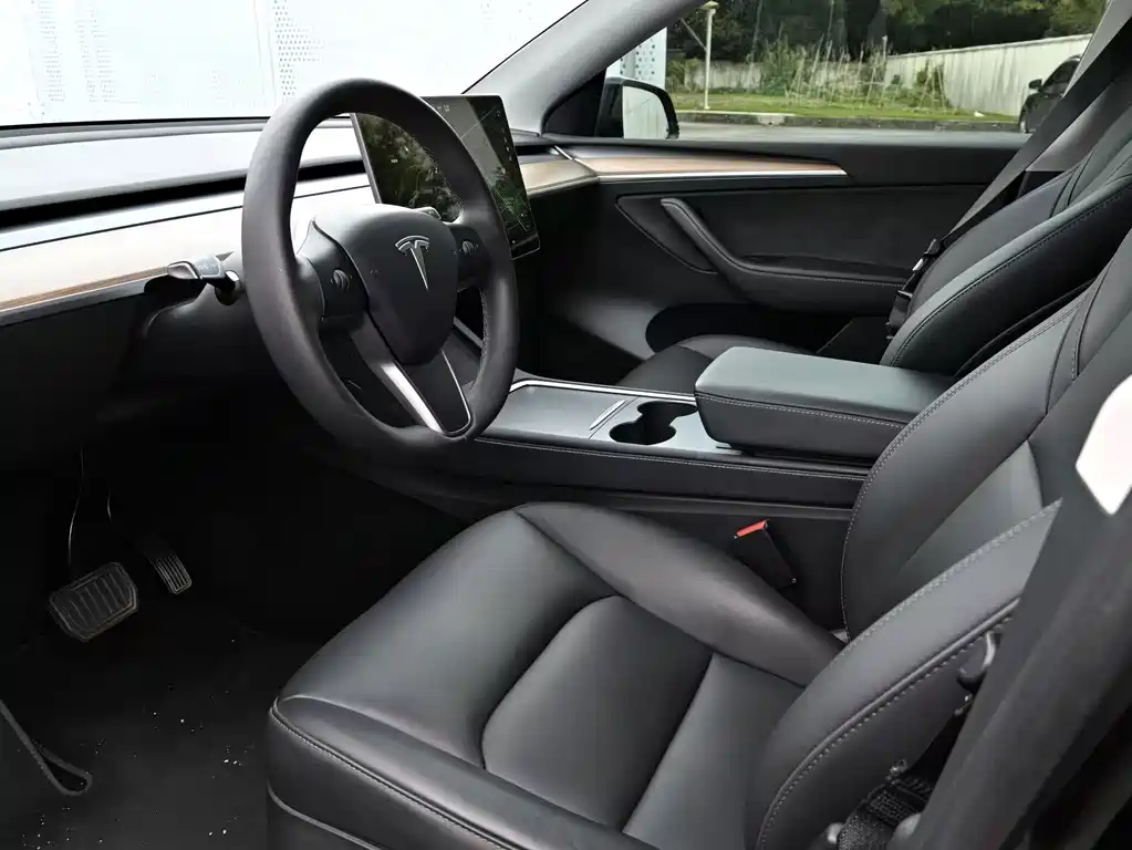 Tesla Model Y — миниатюра 5