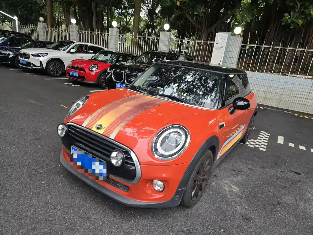 Mini Mini 2019