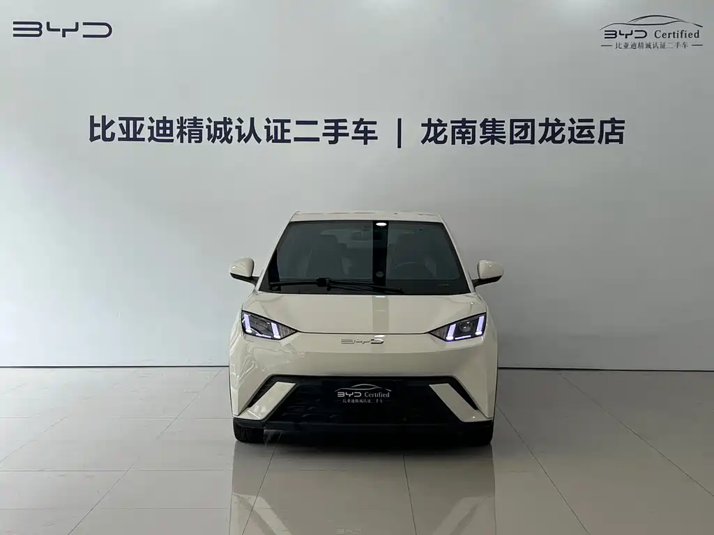 BYD Seagull