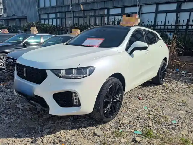 2018 Wey VV5