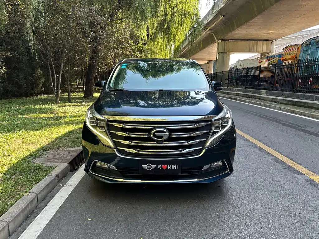 GAC Motor Trumpchi M8 — миниатюра 2