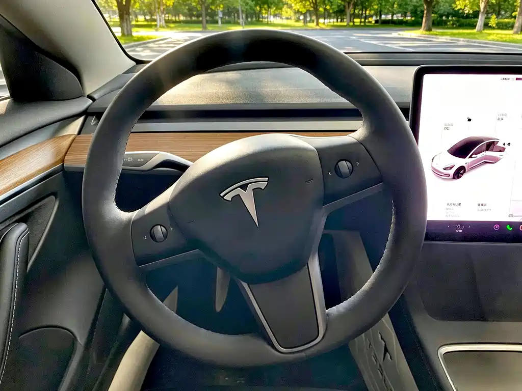 Tesla Model 3 — миниатюра 8