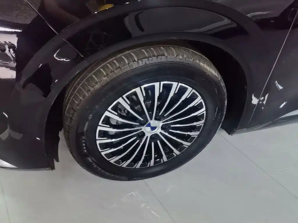 Denza Denza D9 — миниатюра 23