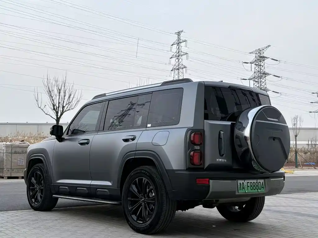 HAVAL RAPTORS NEW ENERGY