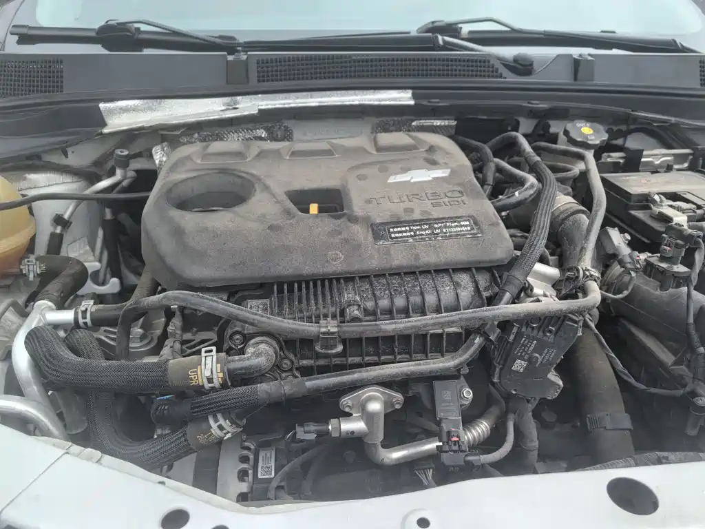 Chevrolet Cavalier - фото 16
