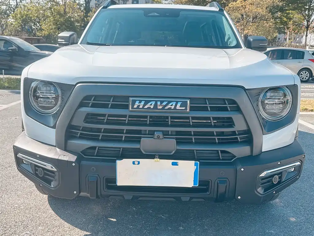 HAVAL BIG DOG