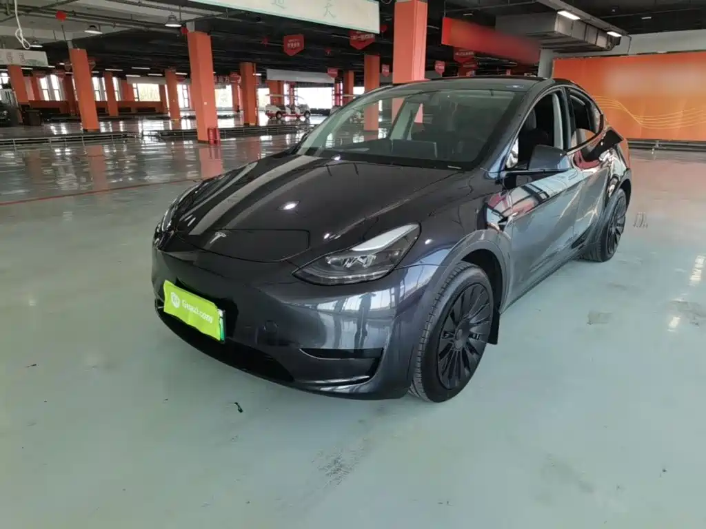Tesla Model Y — миниатюра 2