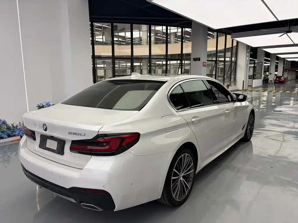 BMW 5 Series — миниатюра 15