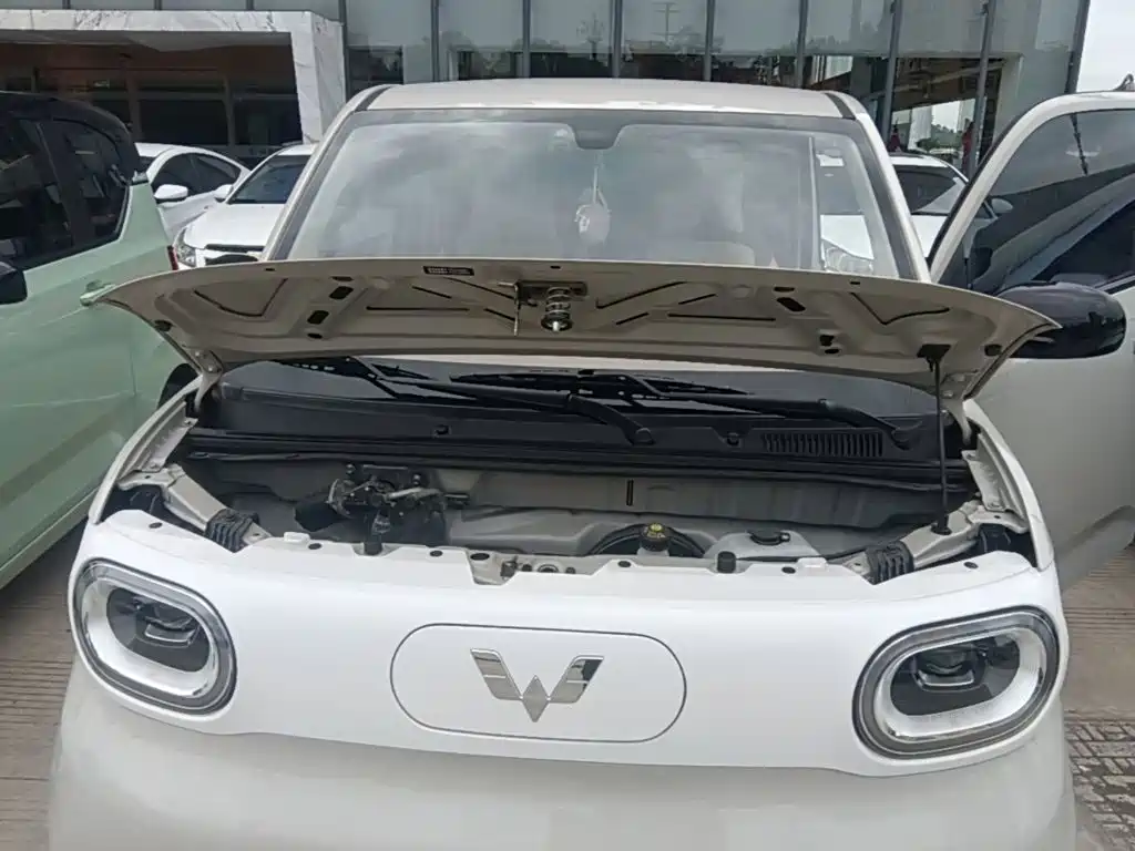 Wuling MINIEV — миниатюра 20