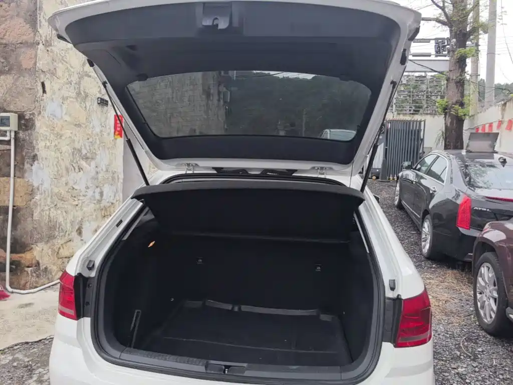 Volkswagen Gran Lavida — миниатюра 19