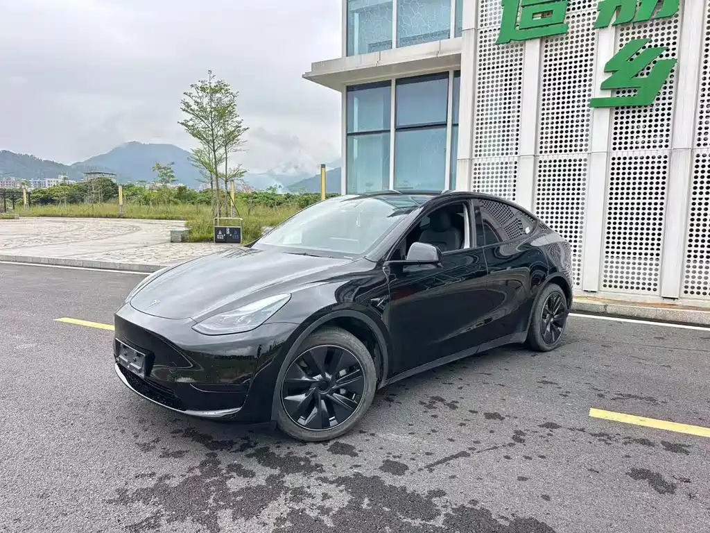 Tesla Model Y — миниатюра 4