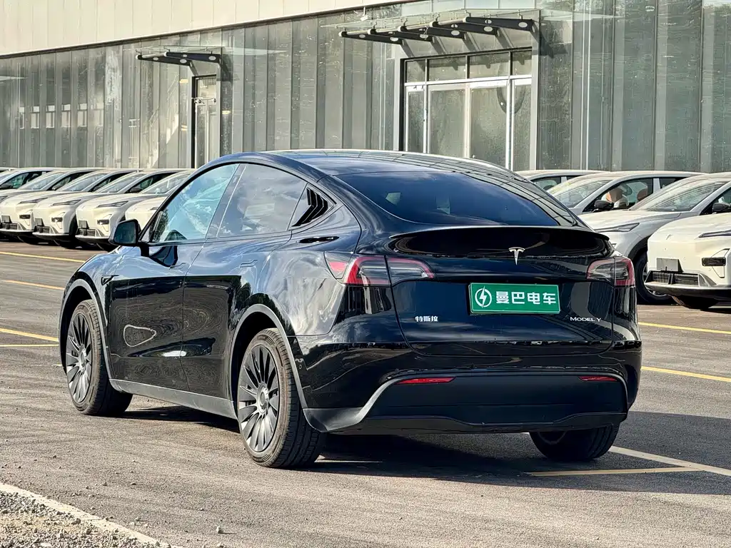 Tesla Model Y — миниатюра 8