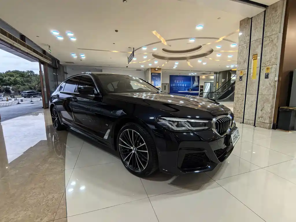 BMW 5 Series — миниатюра 3