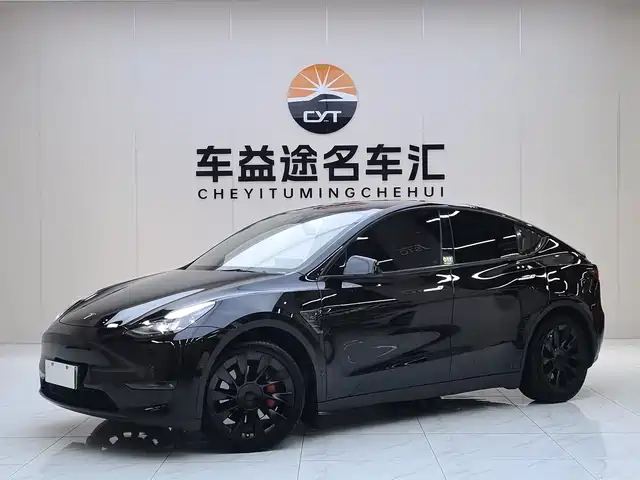 TESLA MODEL Y 2021