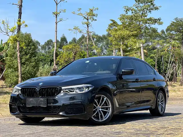 BMW 5 SERIES