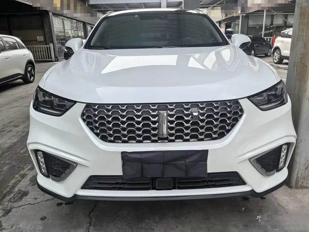 WEI PAI WEI BRAND VV5