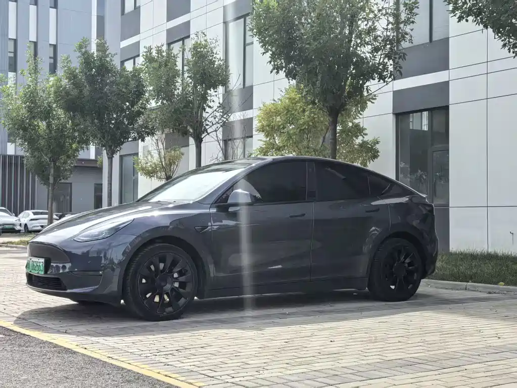 Tesla Model Y — миниатюра 3