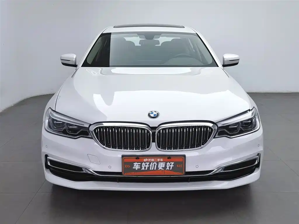 BMW 5 Series 5 2020 530Li Lead Luxury