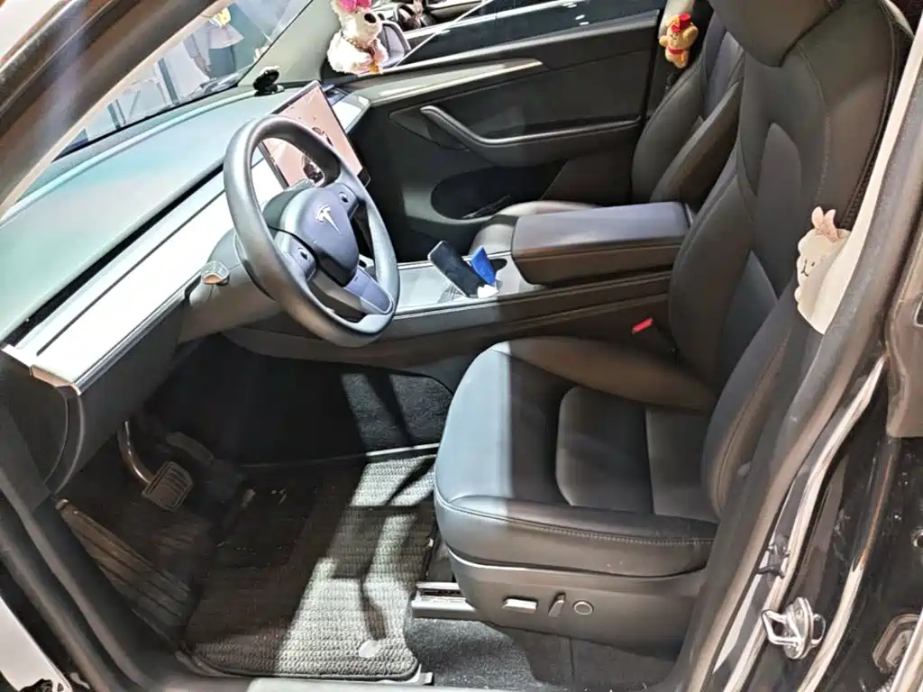 Tesla Model Y — миниатюра 15