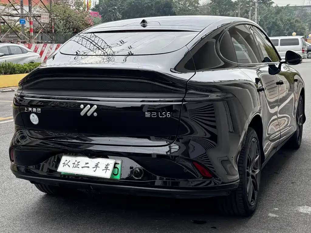 ZHIJI AUTOMOBILE ZHIJI LS6