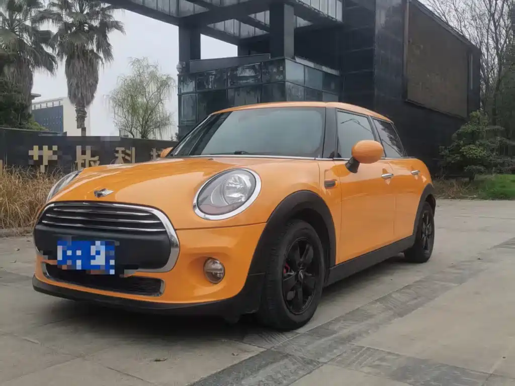 Mini Mini 2017