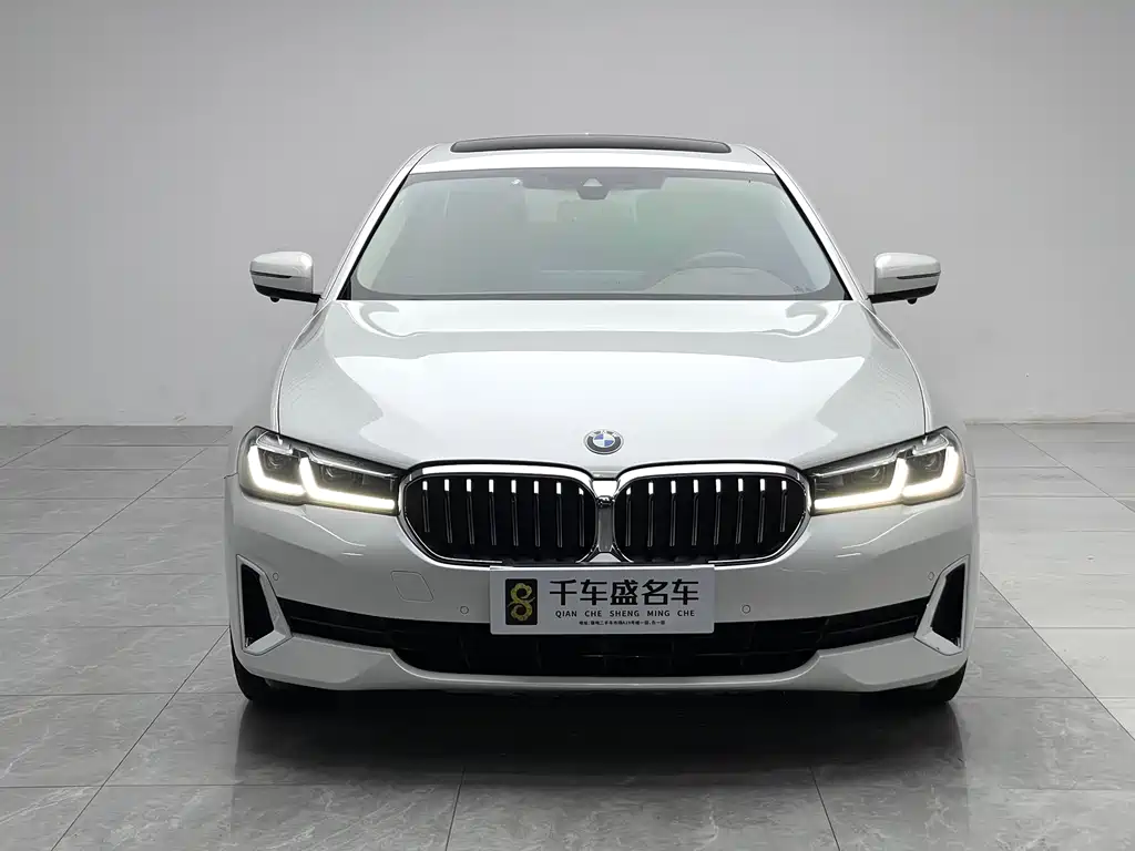 BMW 5 Series 5 2021 530Li Lead Luxury
