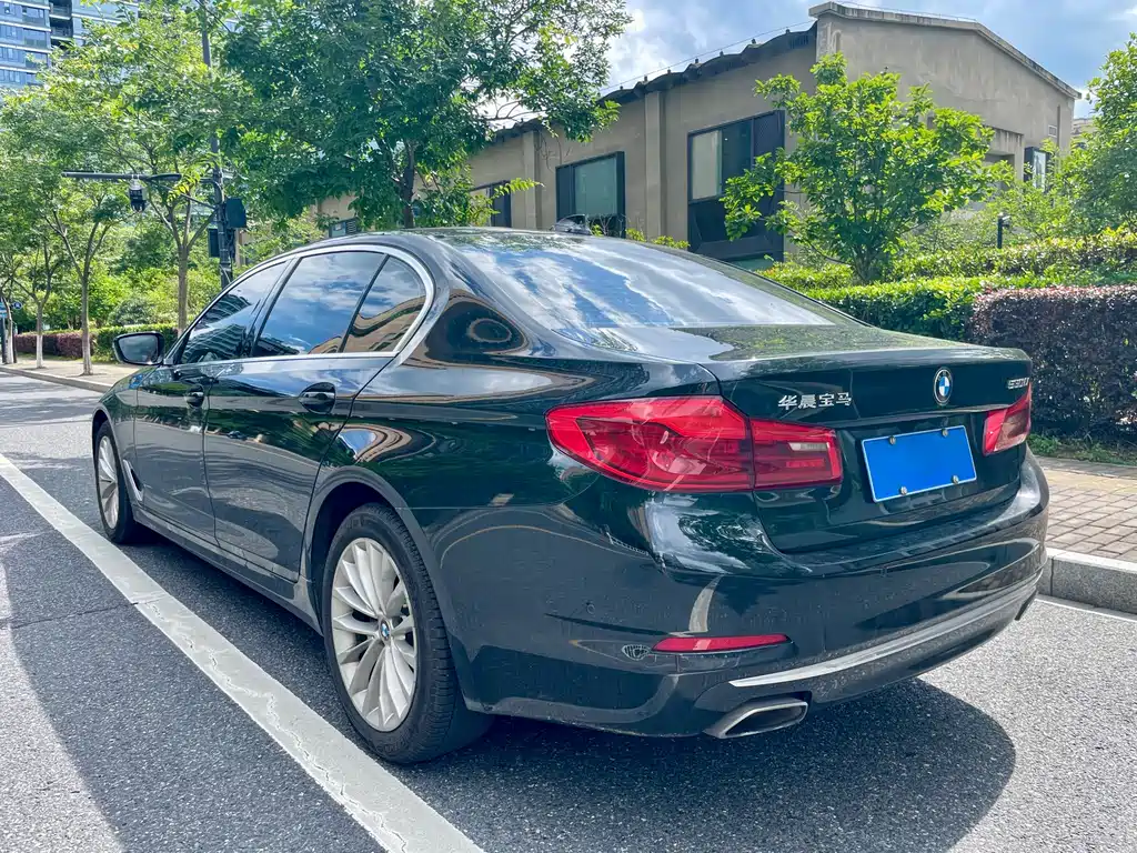 BMW 5 Series 5 2019 530Li Lead Luxury
