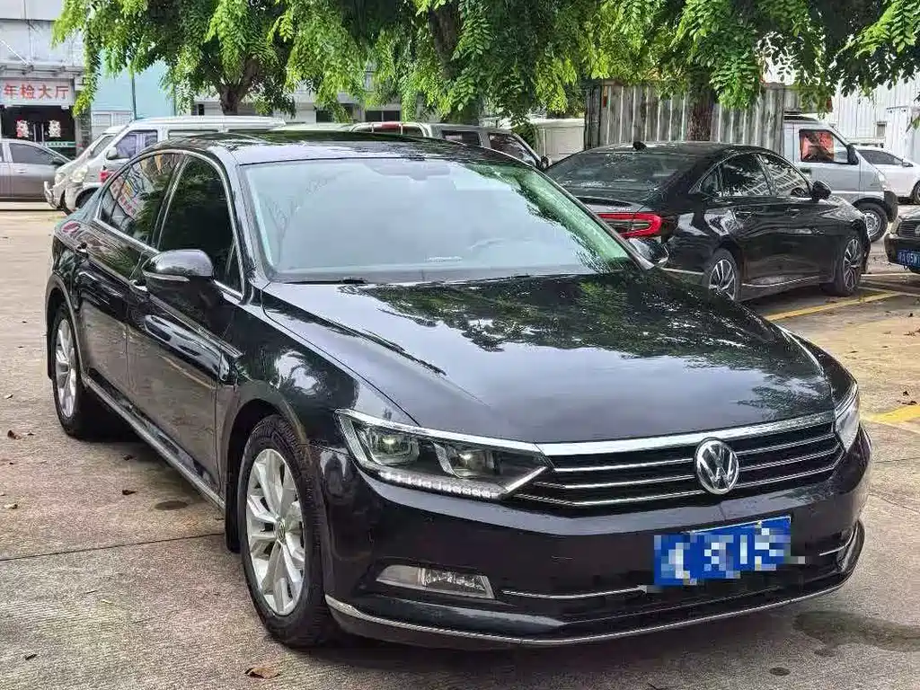 Volkswagen Magotan 2019 330TSI DSG Luxury VI