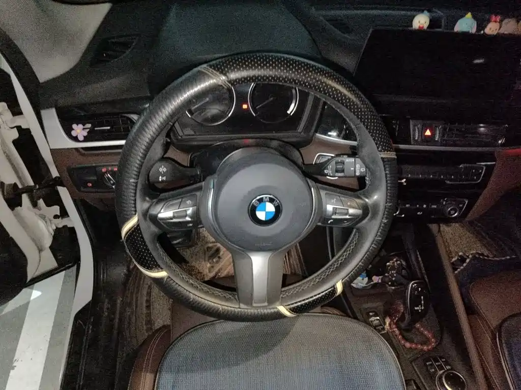 BMW X1 — миниатюра 11
