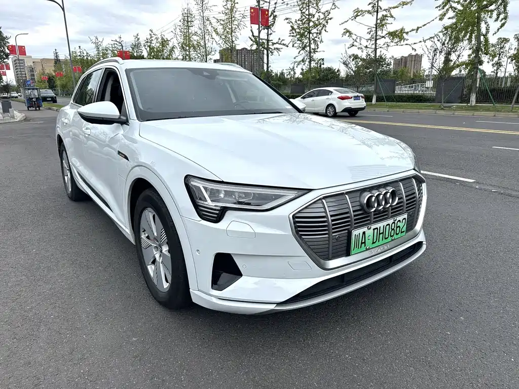 Audi e-tron (Import) — миниатюра 2