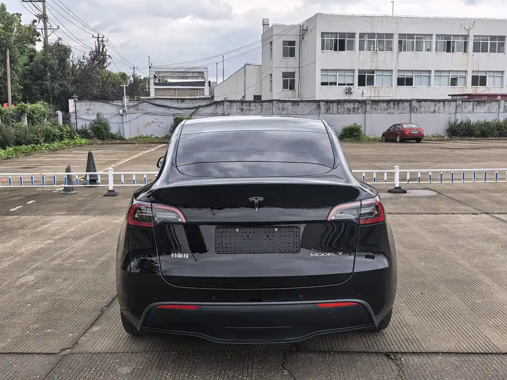 Tesla Model Y — миниатюра 5
