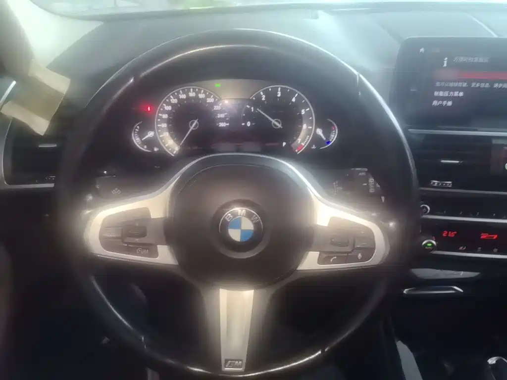 BMW X3 — миниатюра 11
