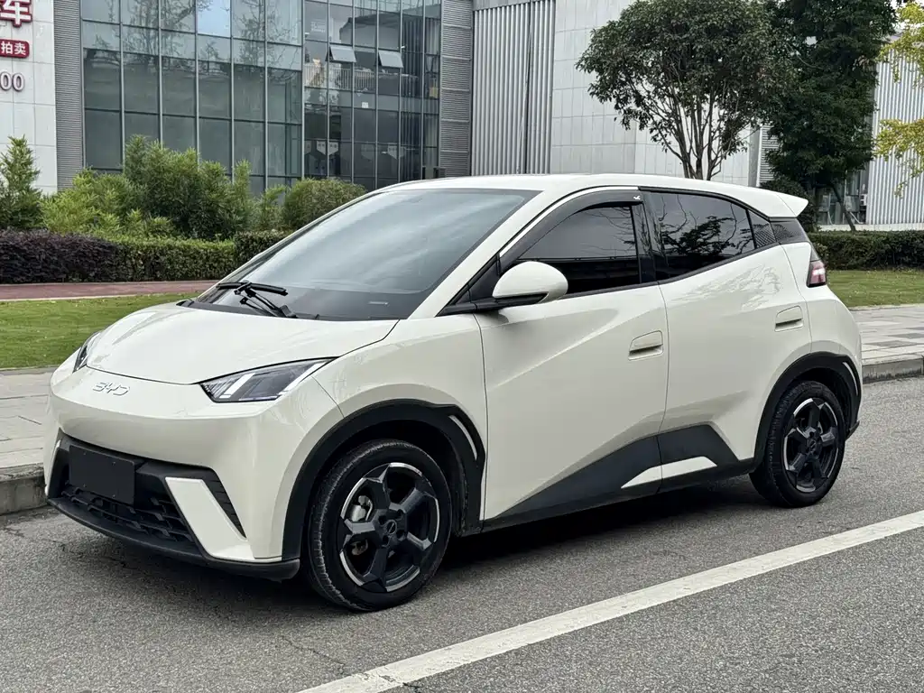 BYD Seagull