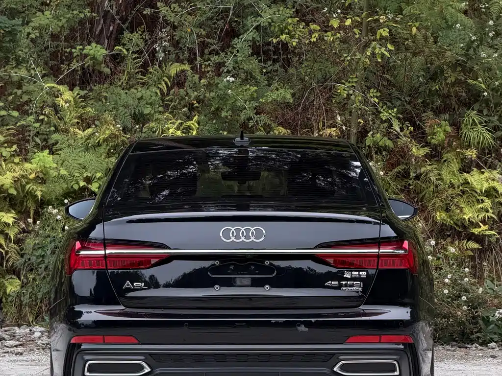 Audi A6L — миниатюра 8