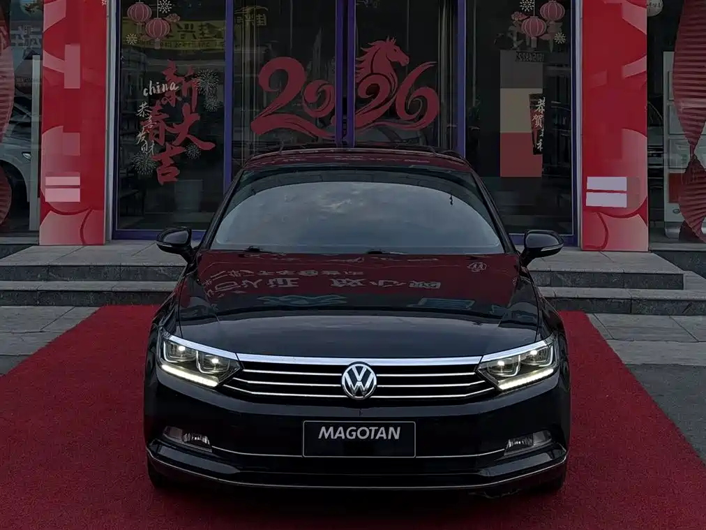 Volkswagen Magotan 2019 330TSI DSG Luxury V