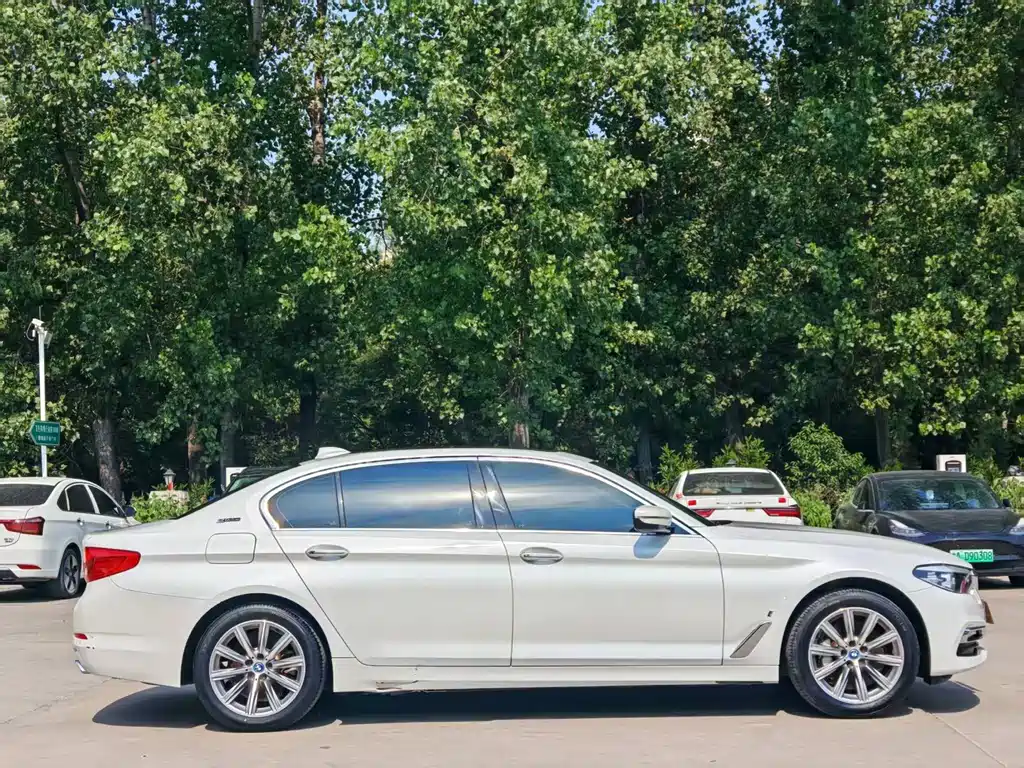 BMW 5 Series 5 2018 530Le Luxury