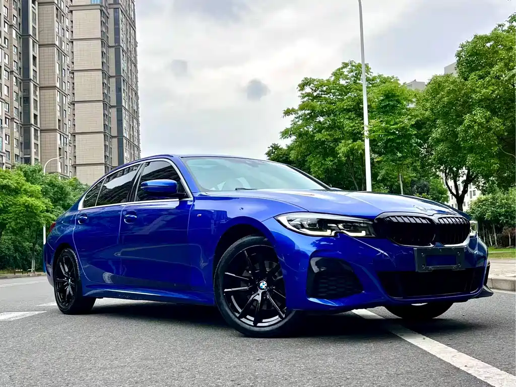 BMW 3 Series 3 2020 325Li