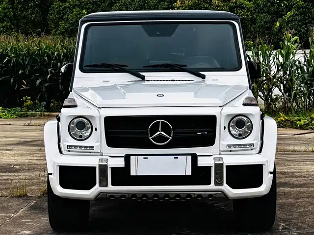 MERCEDES-BENZ  G CLASS AMG 2017