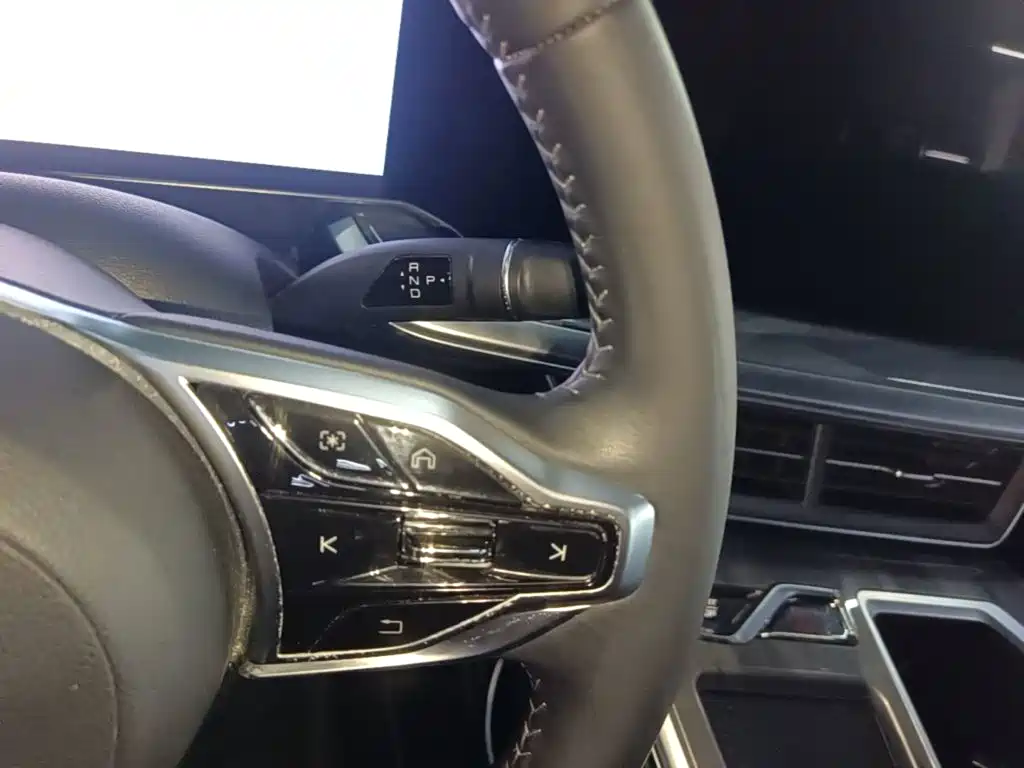 Haval Shenshou — миниатюра 14