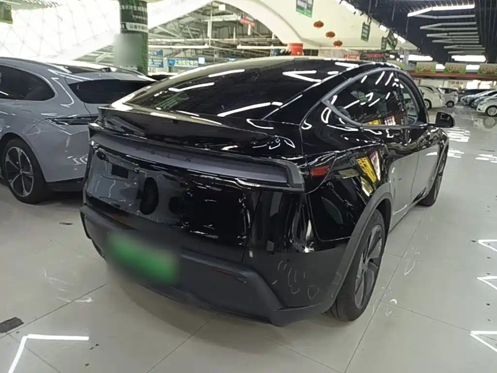 Tesla Model Y — миниатюра 7