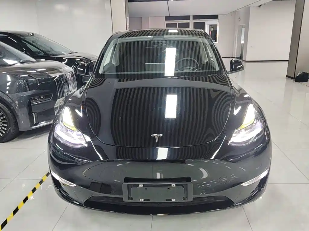 Tesla Model Y — миниатюра 3
