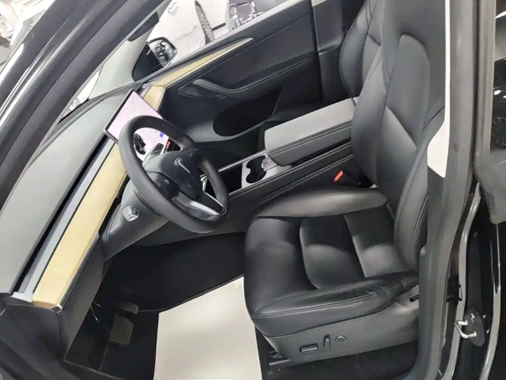 Tesla Model Y — миниатюра 15