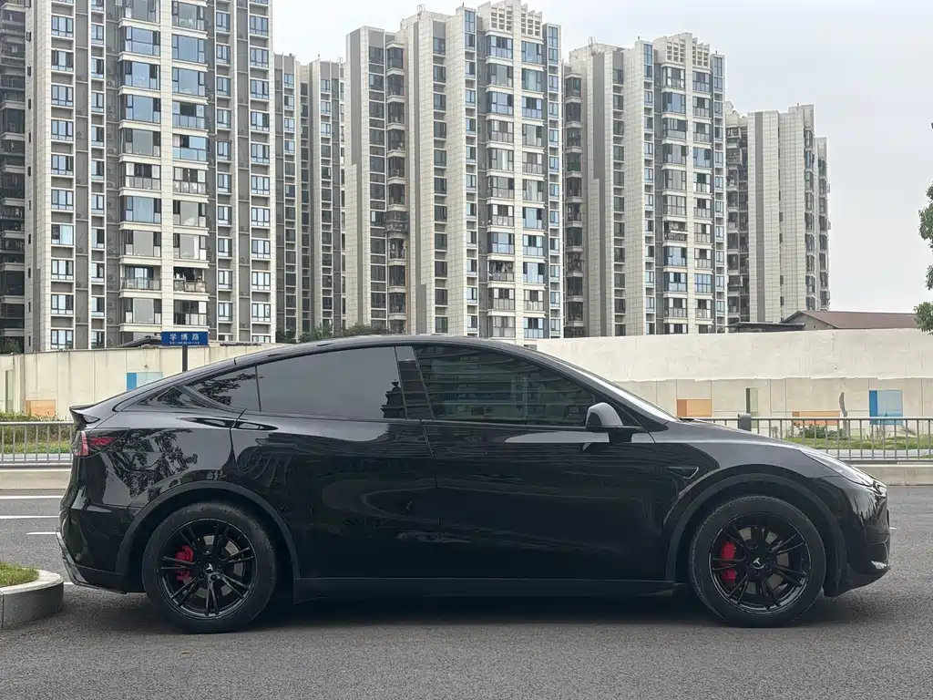 Tesla Model Y — миниатюра 14
