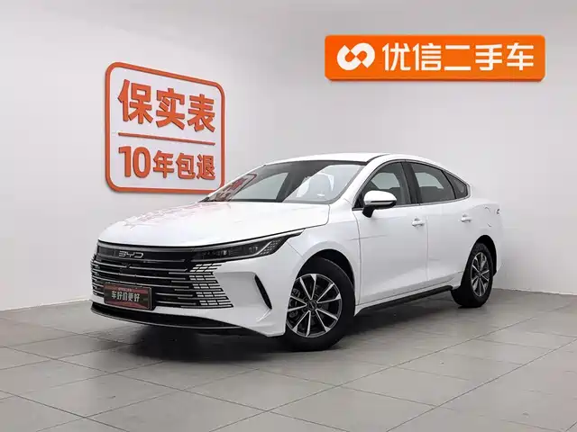 BYD DESTROYER 05 2024