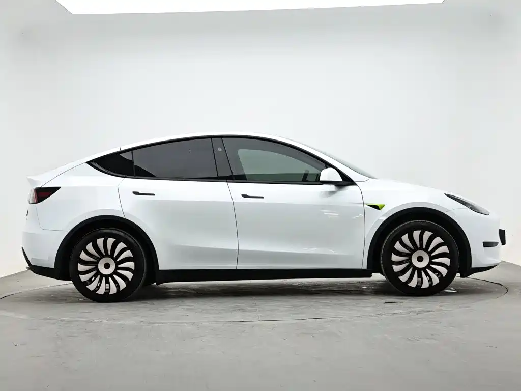 Tesla Model Y — миниатюра 5