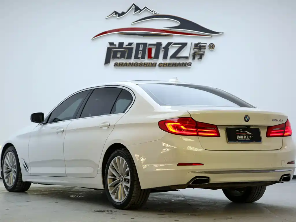 BMW 5 Series 5 2020 530Li Lead Luxury